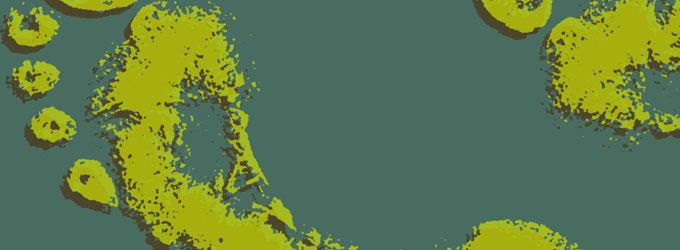 sustainability-bnr