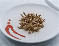 Disgust factor needs to be overcome before people will eat insects, survey finds
