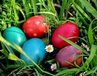 Join an Easter Sunday celebration