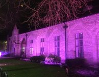 UN International Day of Persons with Disabilities #PurpleLightUp