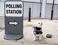 Get ready to vote in the UK general election – what you need to know