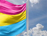 Pansexual Visibility Day 2024