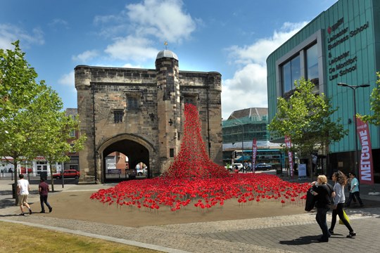 POPPIES - IMAGE with art 2