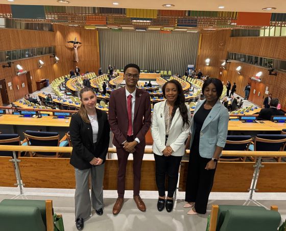 UN NY - group in chamber MAIN