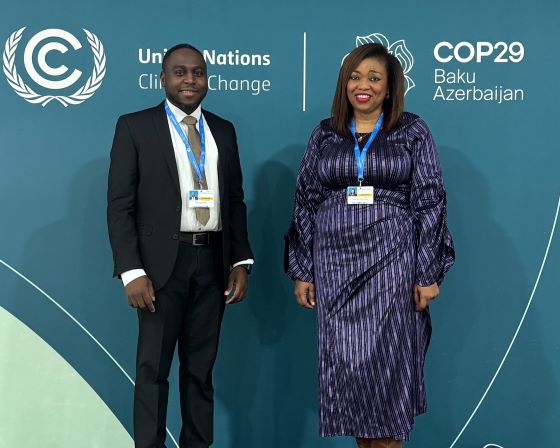 COP 29 - main pic