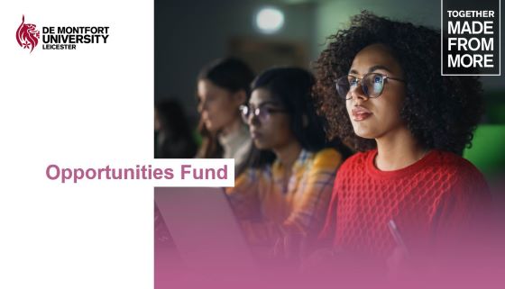 OPPORTUNITIES FUND - main pic