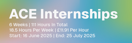 ACE internships header