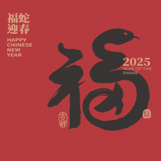 Chinese New Year 560