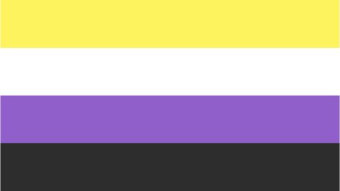 what is the male gay flag