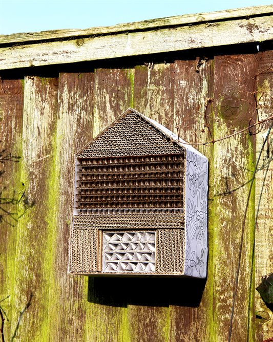 bug house (2)