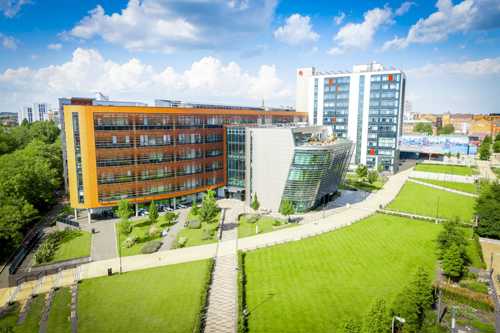 The green lung running through the heart of campus, passing by the Queen